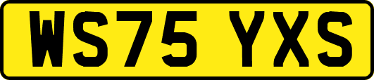 WS75YXS