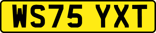 WS75YXT