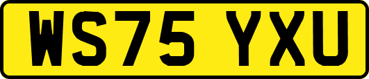 WS75YXU