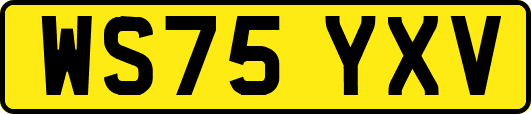 WS75YXV