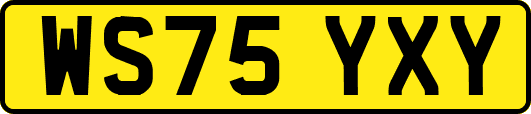 WS75YXY