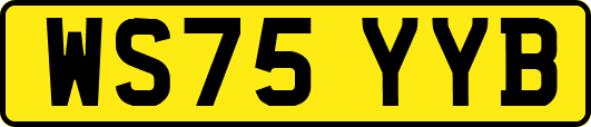 WS75YYB