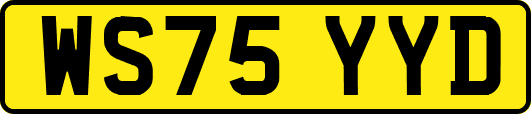 WS75YYD
