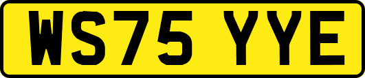 WS75YYE