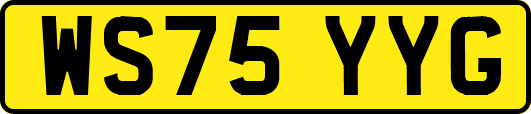 WS75YYG