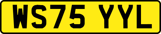WS75YYL