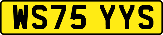 WS75YYS