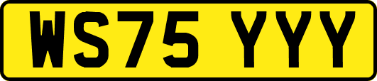 WS75YYY