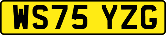 WS75YZG