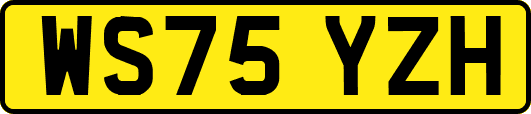 WS75YZH