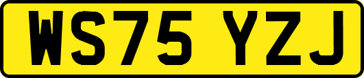 WS75YZJ