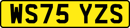 WS75YZS