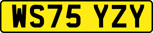 WS75YZY