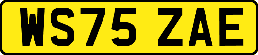 WS75ZAE