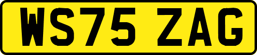 WS75ZAG