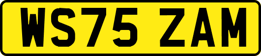 WS75ZAM