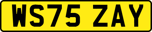 WS75ZAY
