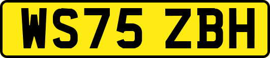 WS75ZBH