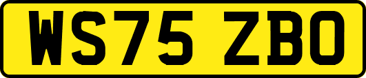 WS75ZBO