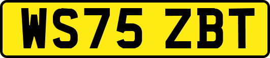 WS75ZBT