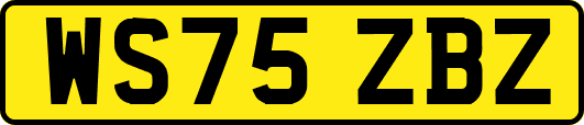 WS75ZBZ