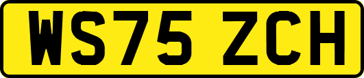 WS75ZCH