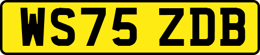 WS75ZDB