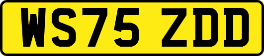 WS75ZDD