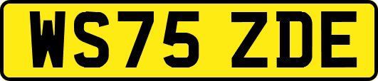 WS75ZDE