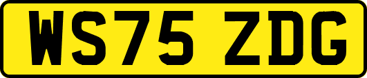 WS75ZDG