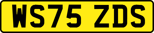 WS75ZDS