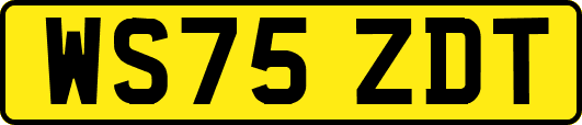 WS75ZDT