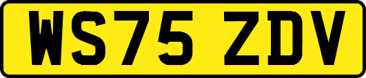 WS75ZDV