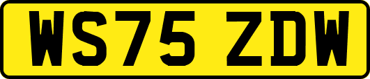 WS75ZDW