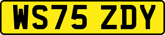WS75ZDY