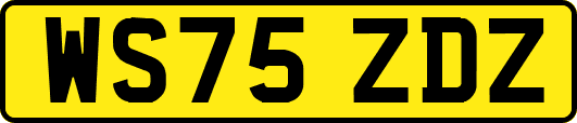 WS75ZDZ