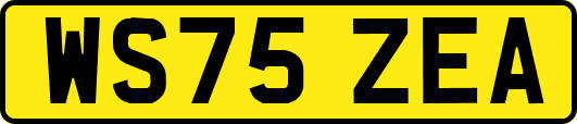 WS75ZEA