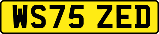 WS75ZED