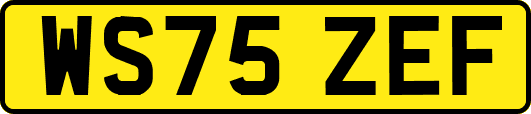 WS75ZEF