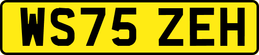 WS75ZEH