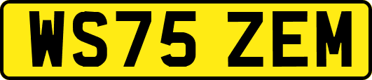 WS75ZEM