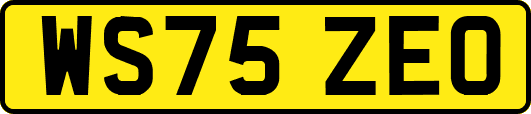 WS75ZEO