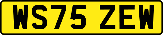 WS75ZEW
