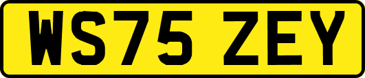 WS75ZEY
