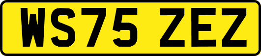 WS75ZEZ