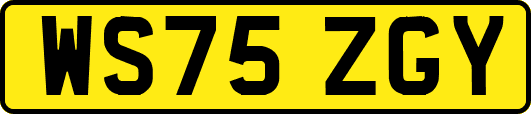 WS75ZGY
