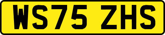 WS75ZHS