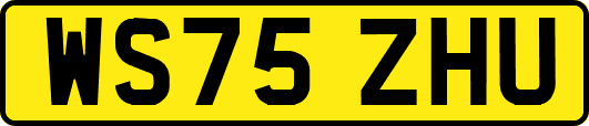 WS75ZHU