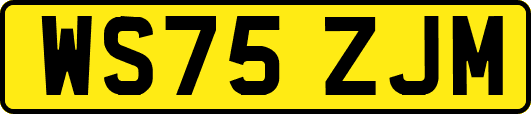 WS75ZJM