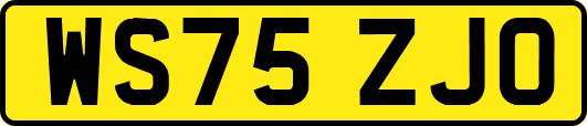 WS75ZJO